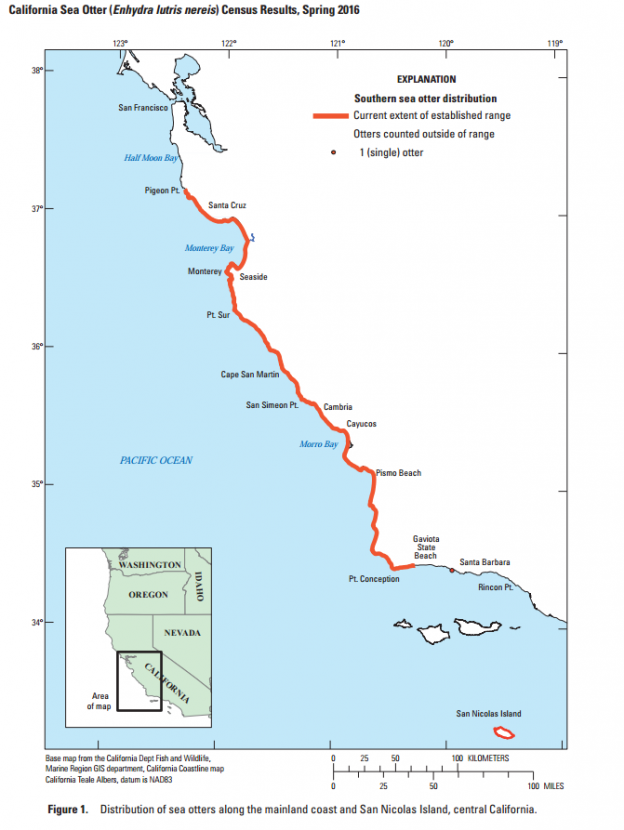 Sea Otter Population Range Morro Bay National Estuary Program