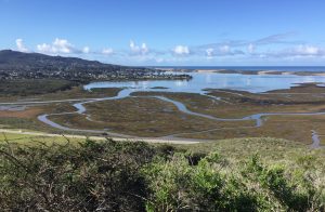 This picture captures a beautiful view from the Portola Point trail. Photograph courtesy of Norma Wightman