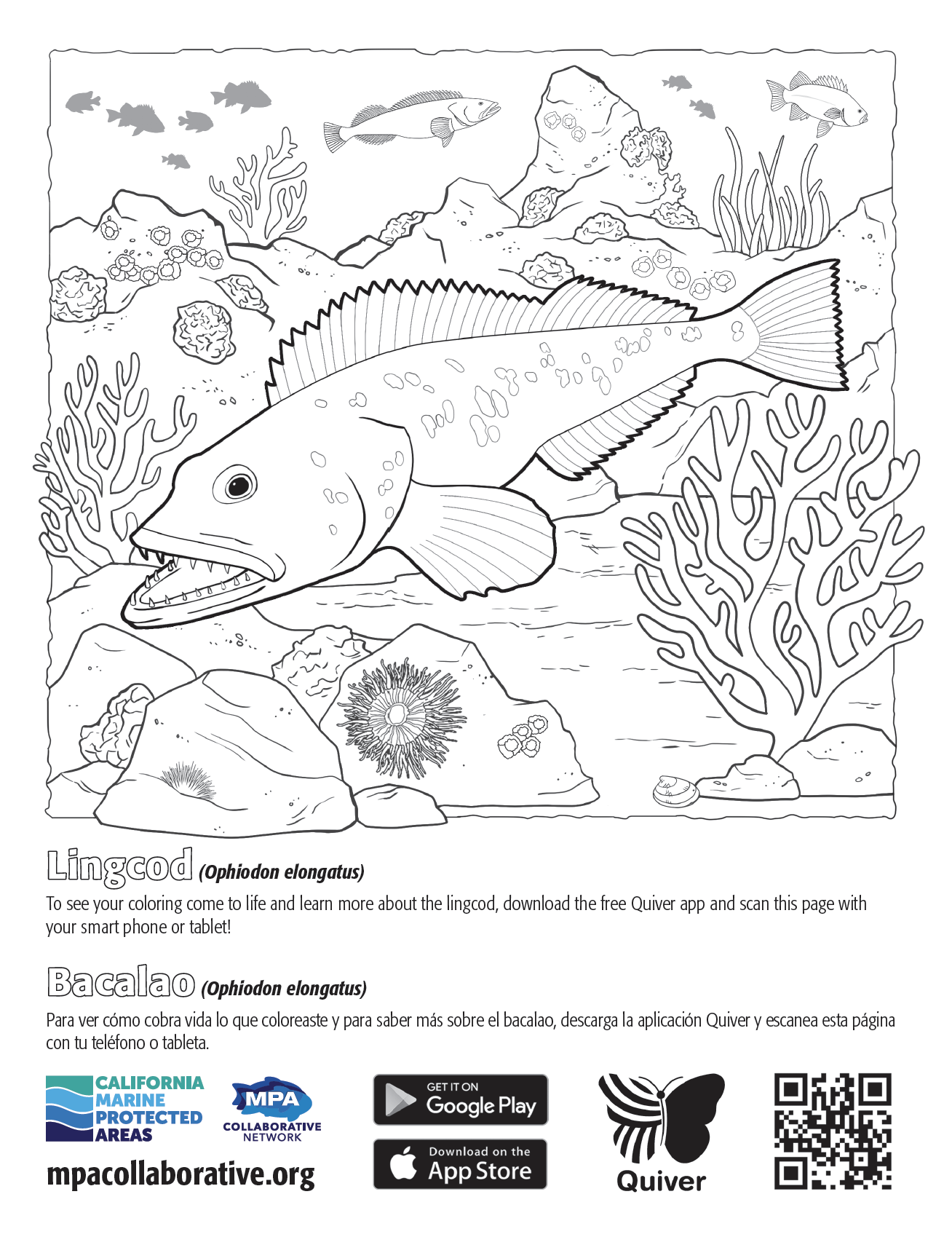 Animal Facts Coloring Sheets  Long Island Children's Museum