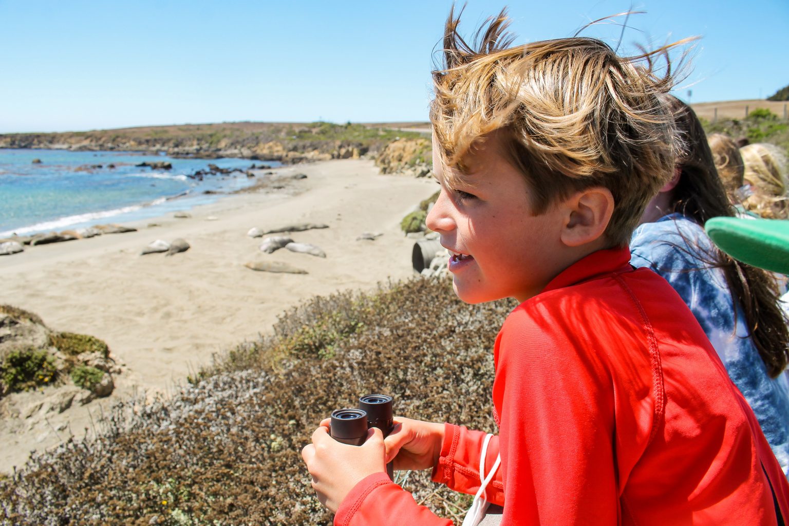 group visits elephant seals - Morro Bay National Estuary Program