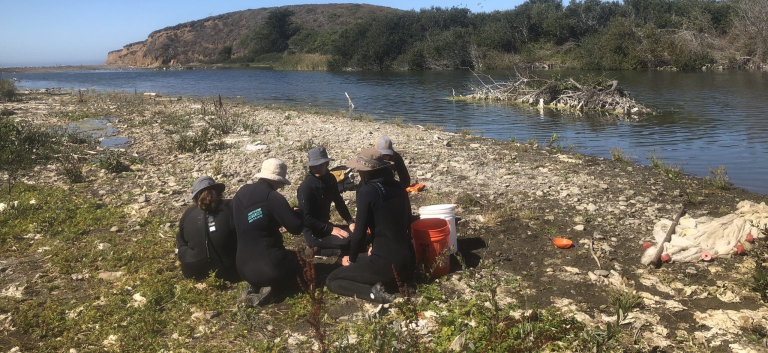 Morro Bay National Estuary Program