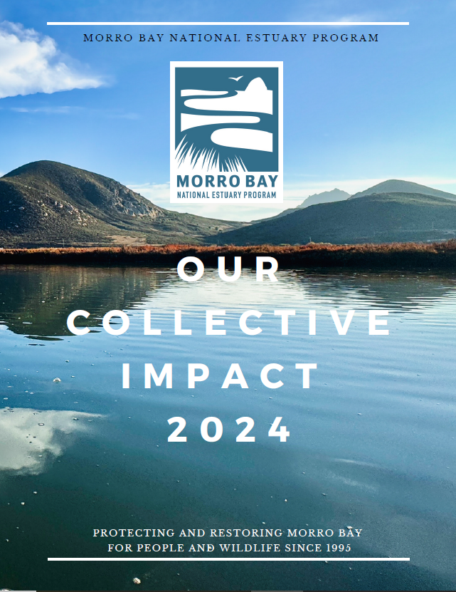 Our Collective Impact 2024